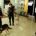 Polda Kerahkan Anjing Pelacak Sisir Bandara Sultan Babullah