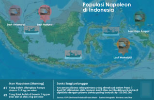 Maluku Utara Belum Maksimalkan Potensi Perikanan Budidaya