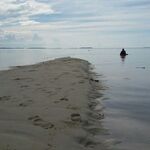 Diduga WNA Masuk Keluar Pulau Woto di Halmahera Tanpa Izin