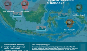 Sumber Daya Genetik di Perairan Indonesia Rawan Dicuri