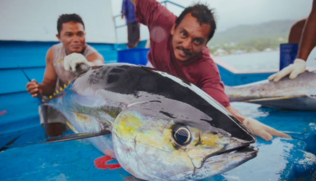 Tentang Asal Muasal Tuna di Maluku Utara