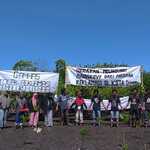 Aksi Mangrove Ternate yang Kian Punah Ramaikan Hari Kemerdekaan RI