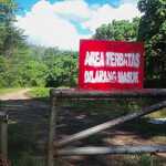 10 Izin Tambang di Maluku Utara Dicabut Sementara