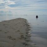 3 Daerah di Maluku Utara yang Rawan Bencana Alam