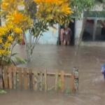 Panen Kelapa di Halmahera Maluku Utara Tersapu Banjir hingga Memutus Akses Jalan