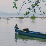 Pandemi Corona dan Illegal Fishing Ancaman Nelayan Kecil di Maluku Utara