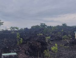 Tentang Batu Angus Ternate dan Nilai Estetiknya di Mata Pramuwisata