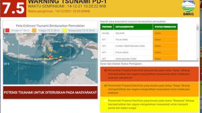 5 Wilayah Ini Siaga dan Waspada Tsunami Pasca Gempa Magnitudo 7,5 Guncang NTT