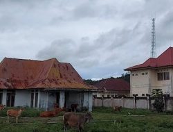 Kejati Maluku Utara Usul Pembangunan Kantor dan Perumahan Baru di Sofifi