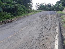 Jalan Nasional di Weda Halmahera Mulai Mengalami Kerusakan