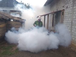 NHM Peduli Lindungi Warga Desa di Kao Teluk dari DBD