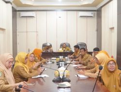 Respon Pemkot Tidore soal Sosialisasi SDM Kesehatan KJSU-KIA