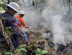 Cara NHM Dukung Upaya Nasional Pengendalian Karhutla