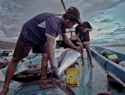 Prahara Perikanan di Bibir Pasifik