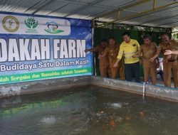 NHM Bangun Fondasi Ekonomi Desa Lewat Budidaya Ikan Nila di Kao Barat