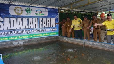 NHM Bangun Fondasi Ekonomi Desa Lewat Budidaya Ikan Nila di Kao Barat