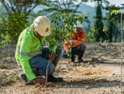 NHM Tunjukkan Praktik ESG Lewat Pemulihan 232,69 Hektare Lahan Bekas Tambang