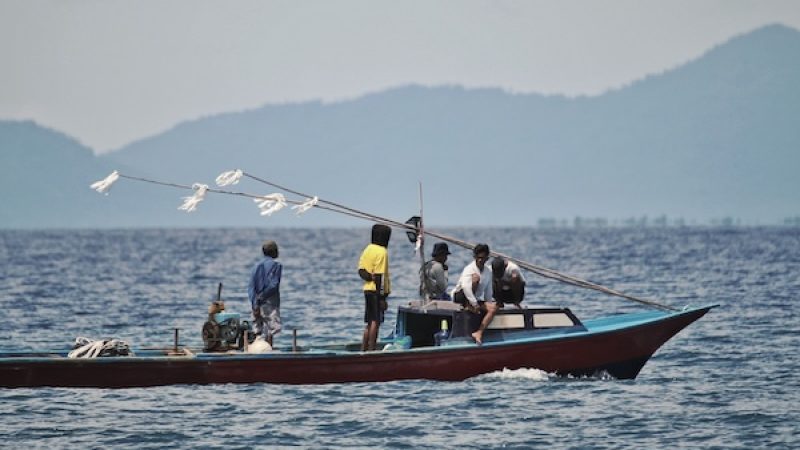 Nelayan lokal saat menjaring ikan di pesisir Pulau Halmahera, 31 Januari 2026/Apriyanto Latukau/kieraha.com